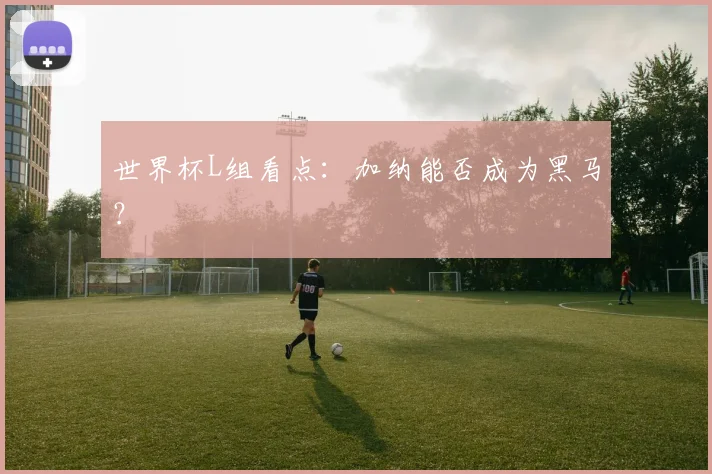 世界杯L组看点：加纳能否成为黑马？